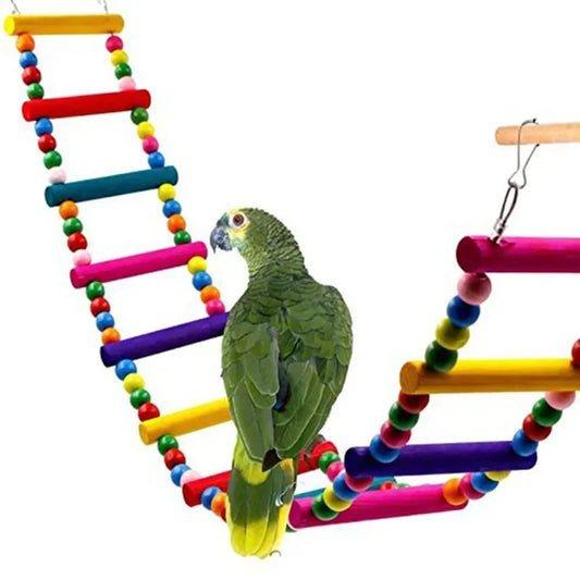 Parrot Activity Set with Training Toys