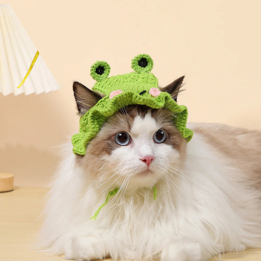 Cute Knitted Cat Hat for Autumn/Winter